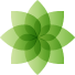 Hyvinvointivaltion vaalijat ry – HYVA